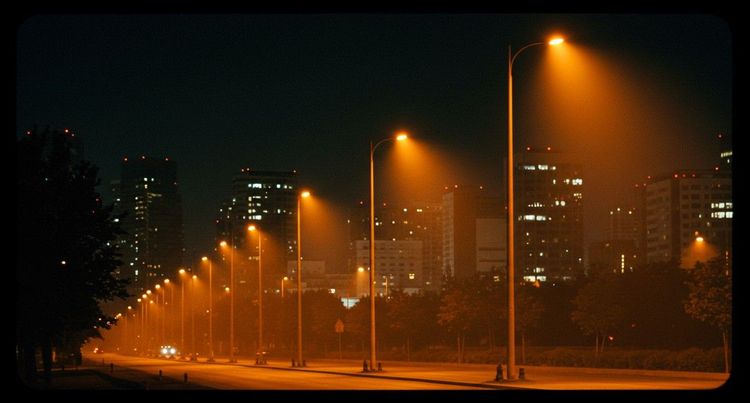 Urban street with modern buildings, streetlights, and a few trees, showcasing a safe and vibrant atmosphere
