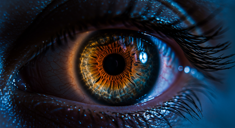 Human eye reflecting mixed warm and cool lights for perception article Close up of human eye reflecting warm and cool lights illustrating light and color perception